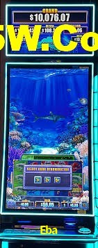 Live Casino Eba